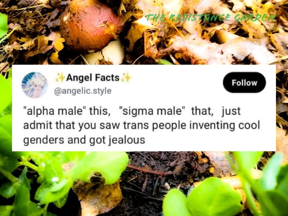 The meme is a humorous take on the popular internet slang term "LGBTQ+ acronym" that has been used to describe oneself as part of the LGBTQ+ community. The meme says "I'm a L" and then lists several letters that are not part of the acronym, including "L" (I), "G" (gay), "B" (bi), "T" (trans), "Q" (queer), and "A" (ally).